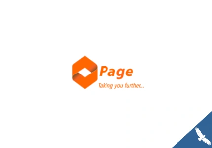 pagefinancials cover p1